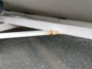 Thumbnail '19' of 4W110 : 1994 Homebuilt BOAT Thumbnail '19' of 4W110 : 1994 Homebuilt BOAT