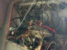Thumbnail '31' of 95H53 : Ali Craft Boat with Tandem Axle Trailer Thumbnail '31' of 95H53 : Ali Craft Boat with Tandem Axle Trailer