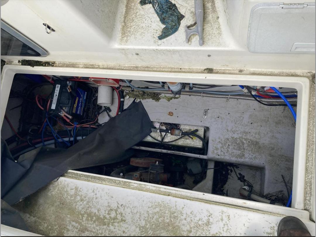 Photo '11' of P605B : 2009 Campion Boat & Boat Trailer Photo '11' of P605B : 2009 Campion Boat & Boat Trailer