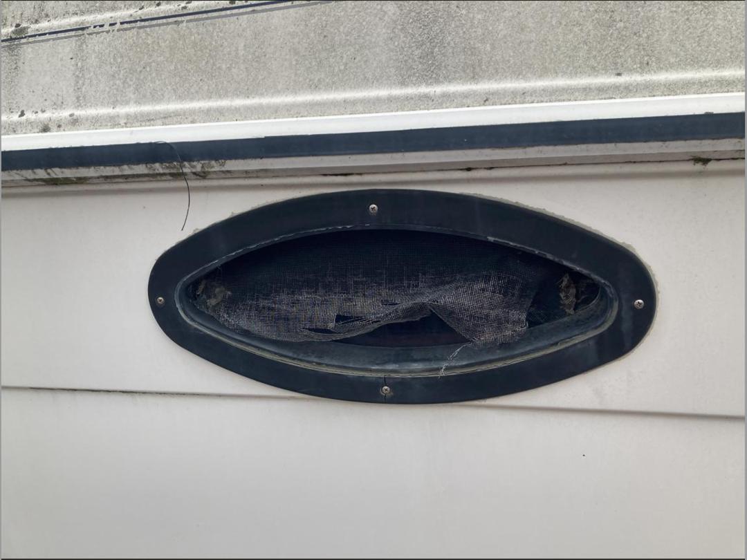 Photo '22' of P605B : 2009 Campion Boat & Boat Trailer Photo '22' of P605B : 2009 Campion Boat & Boat Trailer