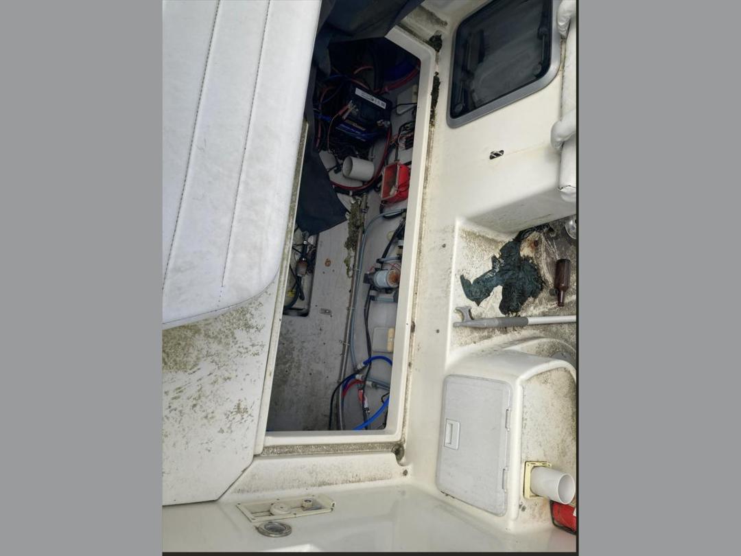 Photo '24' of P605B : 2009 Campion Boat & Boat Trailer Photo '24' of P605B : 2009 Campion Boat & Boat Trailer