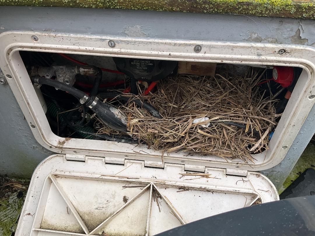 Photo '45' of 318H3 : 2003 Shark Cat 5700 Photo '45' of 318H3 : 2003 Shark Cat 5700