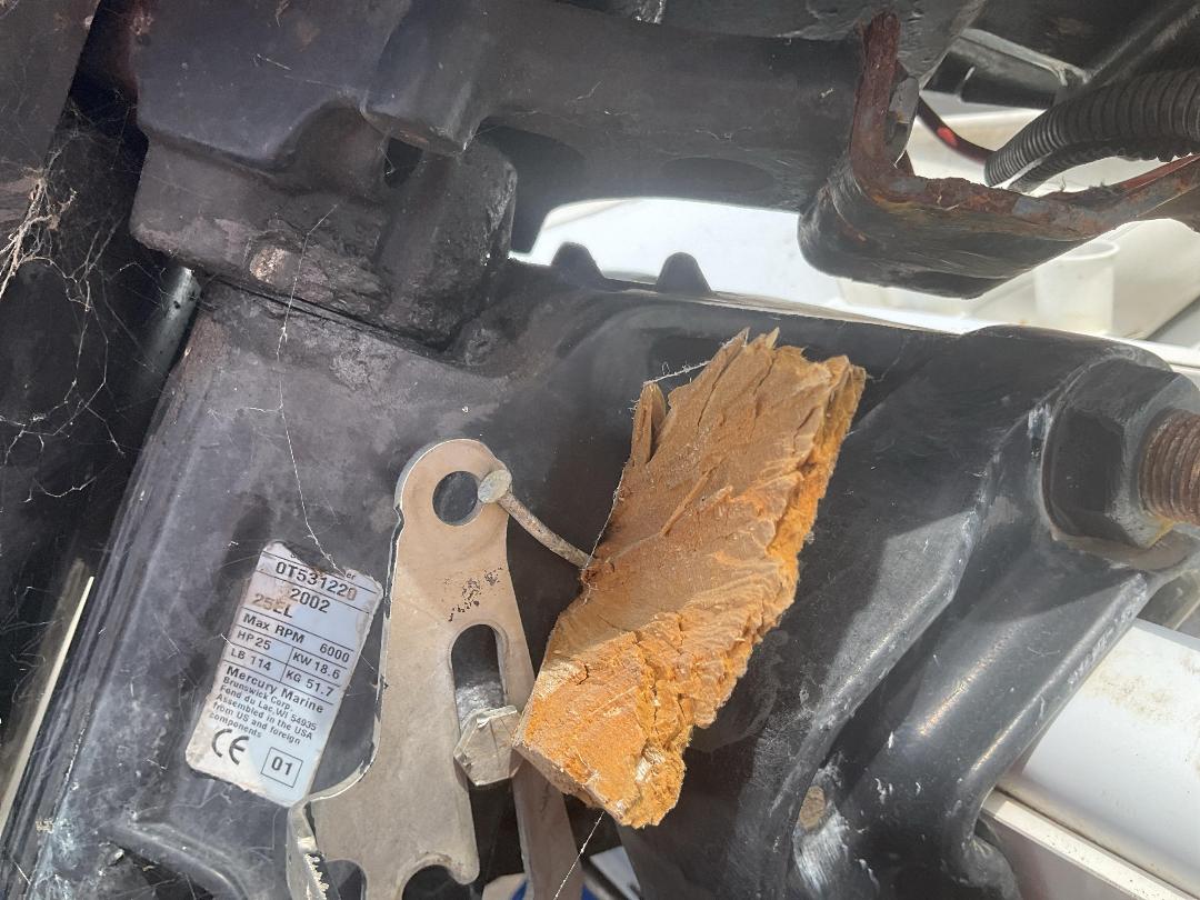 Photo '12' of S41G : 2011 TRAILER DOMESTIC