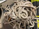 Thumbnail '1' of Large Tub of Marine and standard Rope