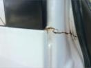 Thumbnail '32' of Nissan Civilian Minibus Thumbnail '32' of Nissan Civilian Minibus
