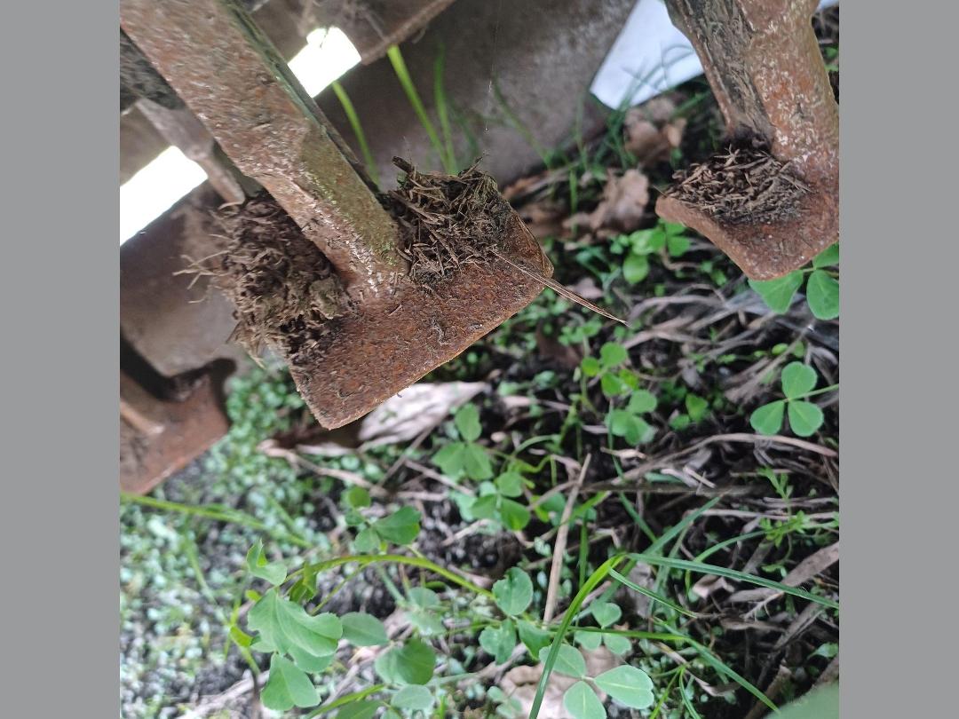 Photo '6' of Spearhead Twiga Classic S55 Mower