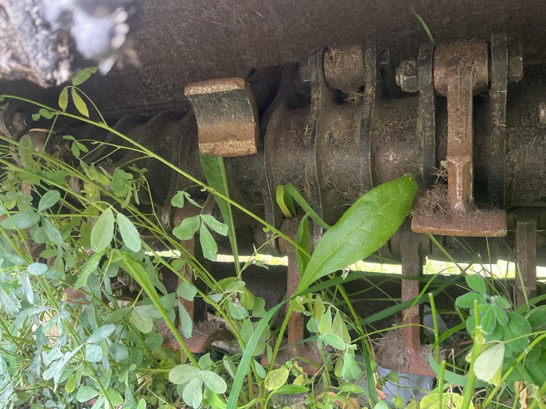 Photo '22' of Spearhead Twiga Classic S55 Mower