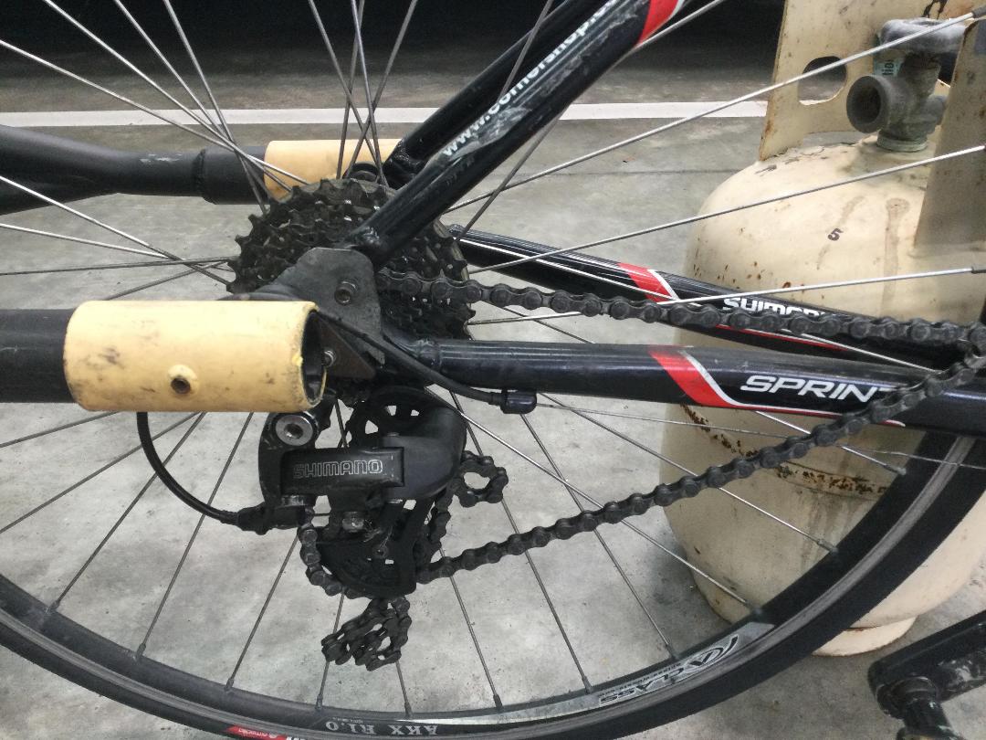 Photo '4' of Avanti Bicycle with attached Trailer