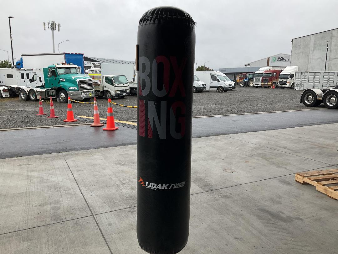Photo '6' of Lidak Boxing Bag on Stand