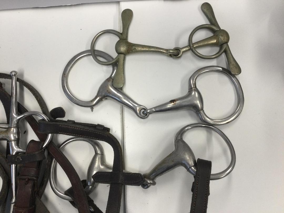 Photo '2' of Wintec saddle and Holsters