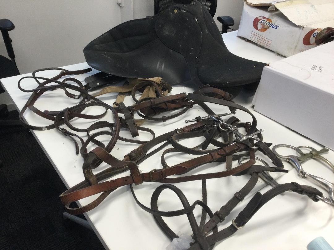 Photo '7' of Wintec saddle and Holsters