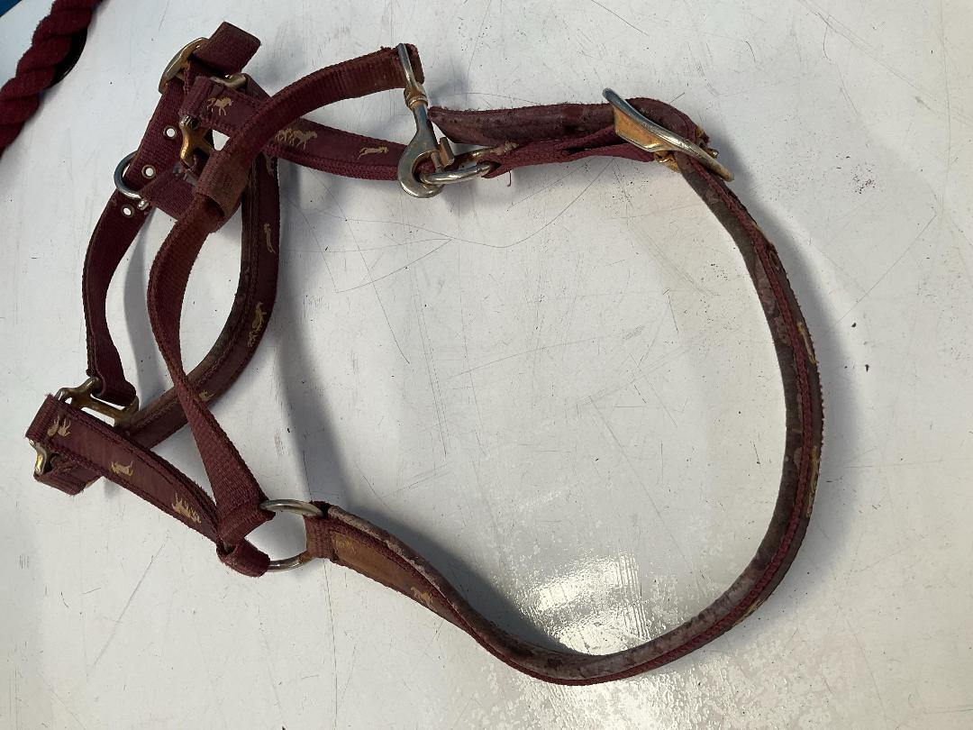 Photo '6' of Horse Riding Items or Similar