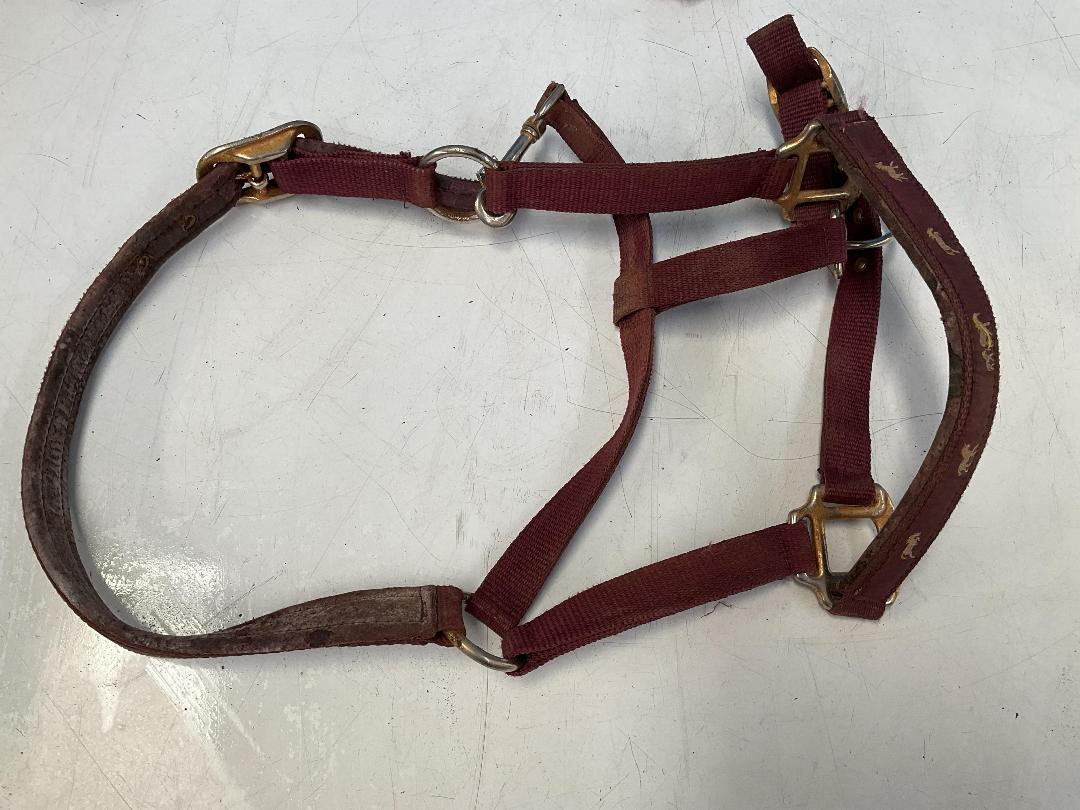 Photo '2' of Horse Riding Items or Similar