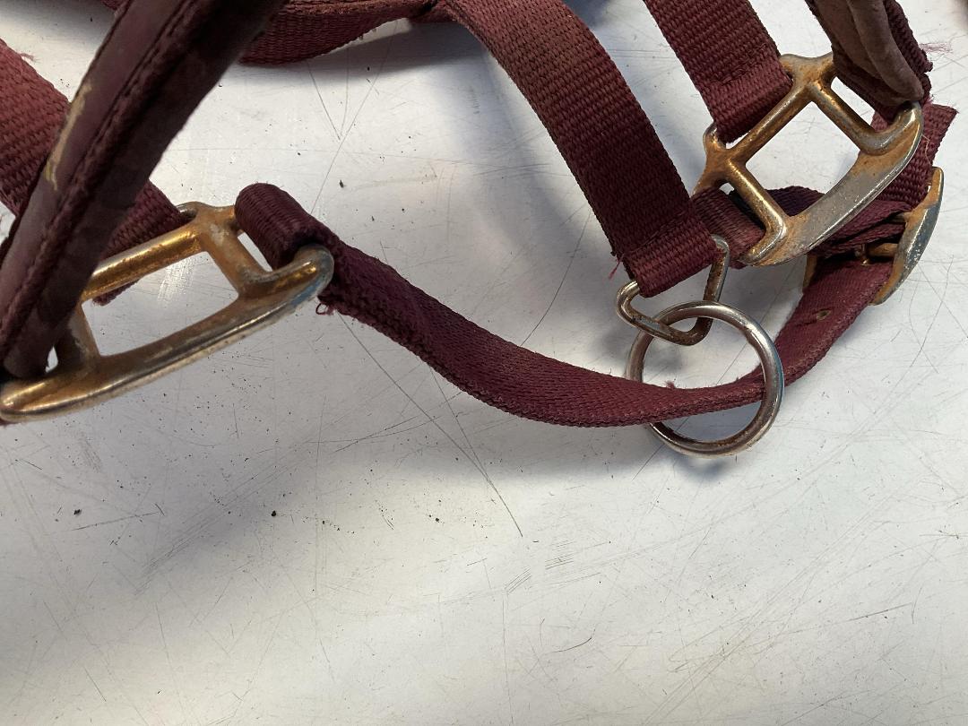 Photo '4' of Horse Riding Items or Similar