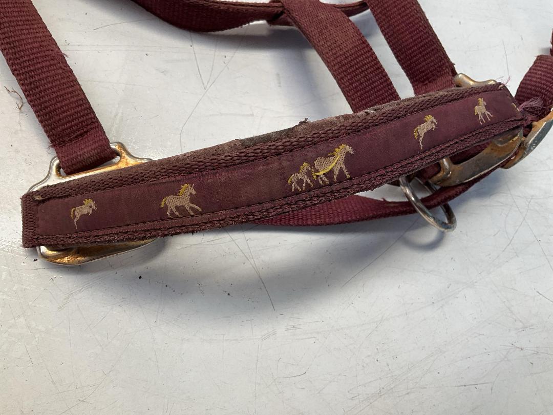 Photo '3' of Horse Riding Items or Similar