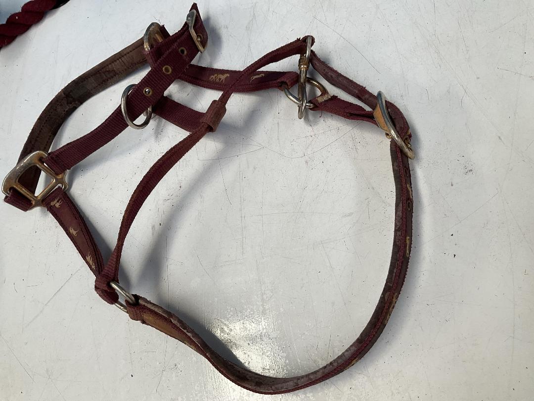 Photo '7' of Horse Riding Items or Similar
