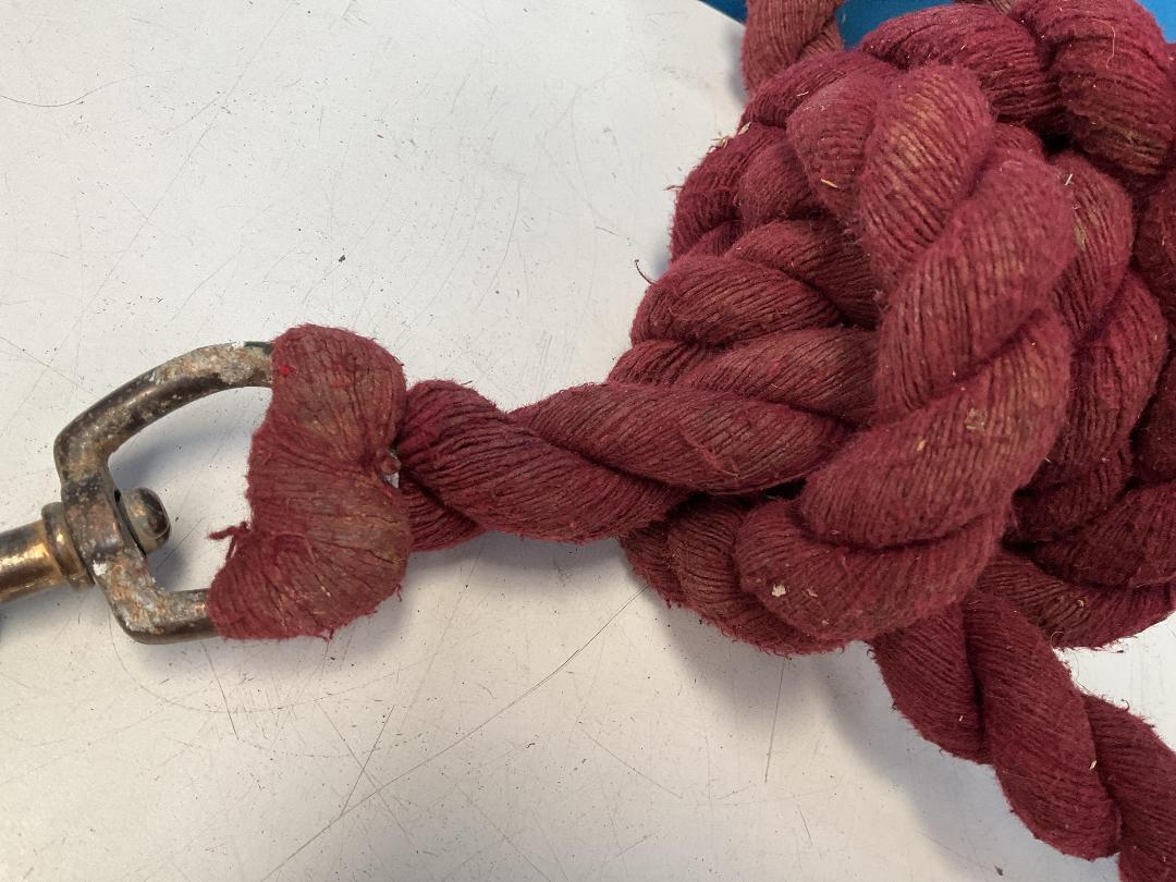 Photo '11' of Horse Riding Items or Similar