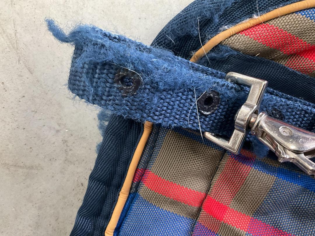 Photo '8' of Mark Todd Collection Horse Cover or Similar