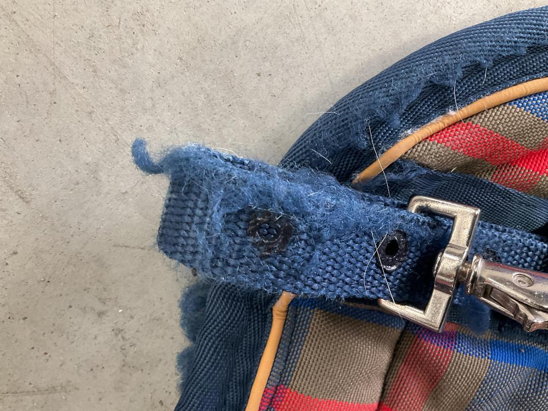 Photo '7' of Mark Todd Collection Horse Cover or Similar