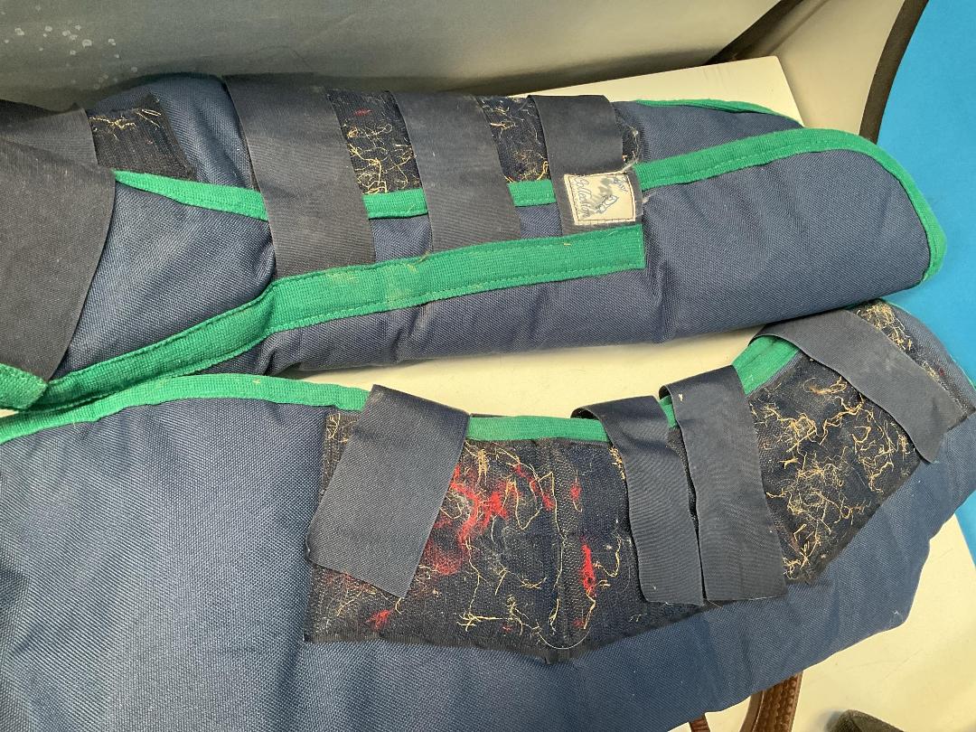 Photo '4' of Horse Riding Items or Similar Etc