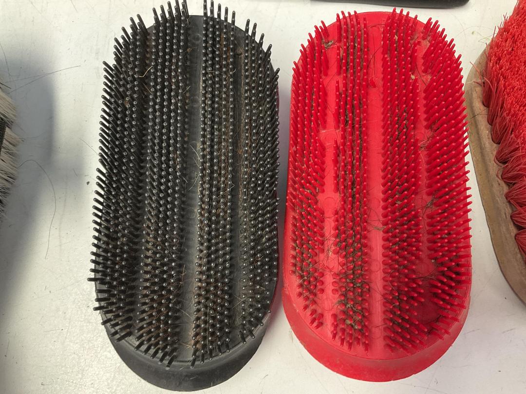 Photo '8' of Horse Riding Items or Similar Etc