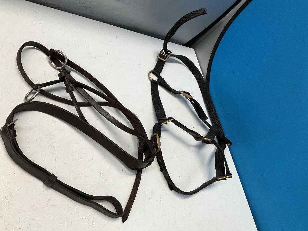 Photo '19' of Horse Riding Items or Similar Etc