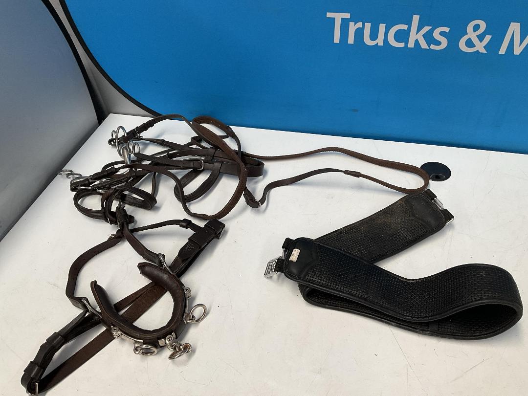 Photo '20' of Horse Riding Items or Similar Etc