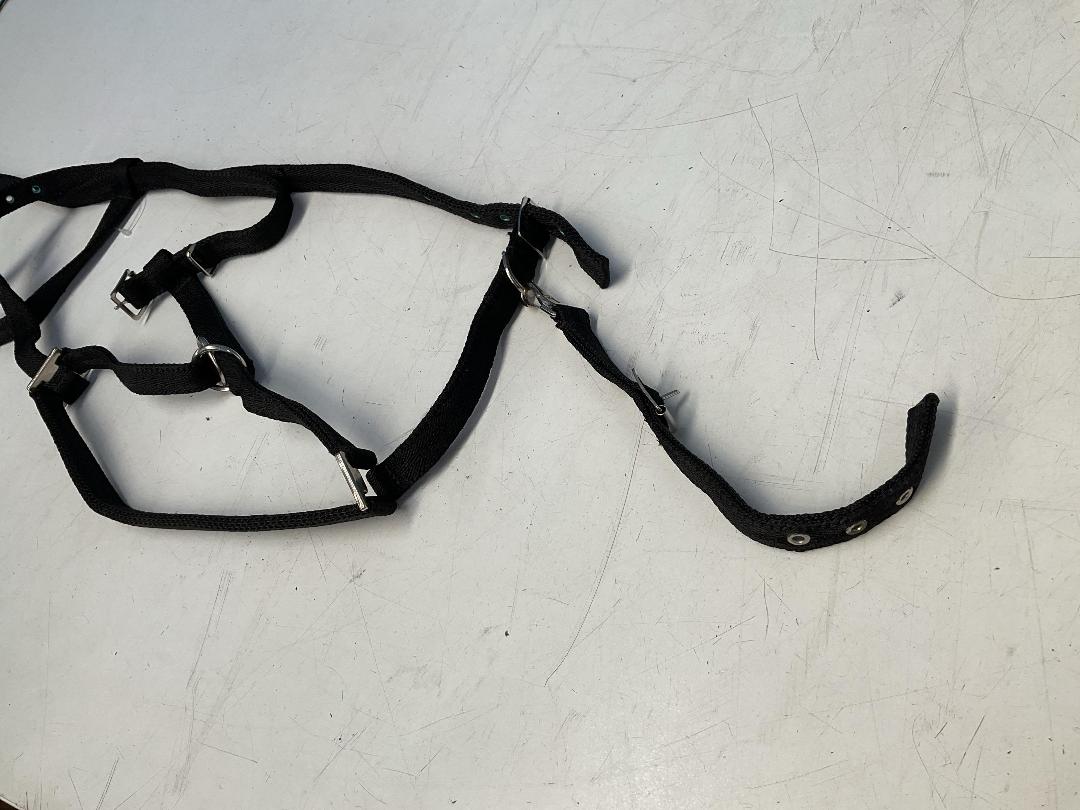 Photo '10' of Libbys Cob Halter or Similar and Trigger Rubber Grip Reins Black Cob