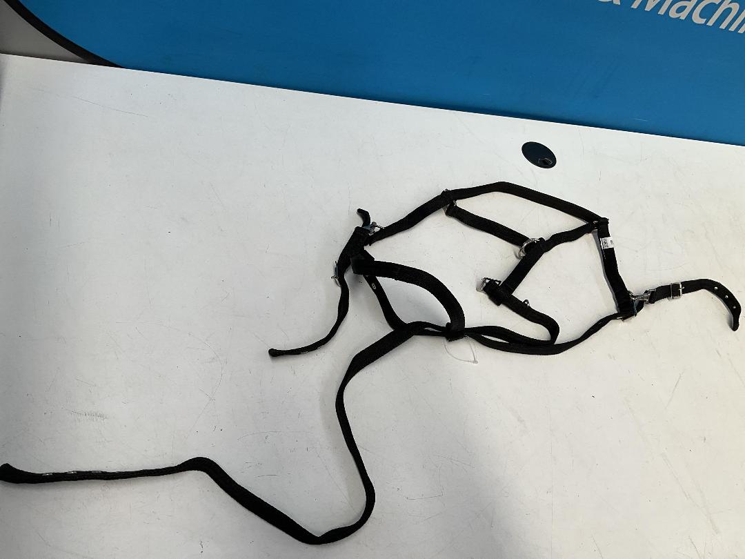 Photo '11' of Libbys Cob Halter or Similar and Trigger Rubber Grip Reins Black Cob