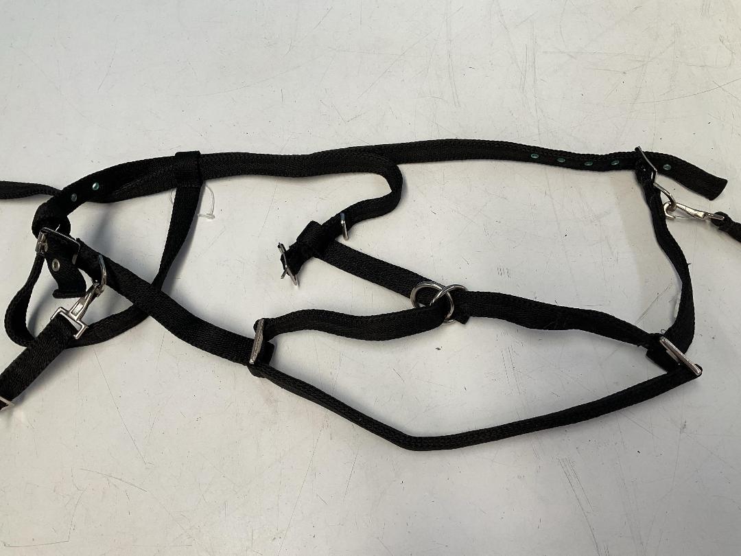 Photo '9' of Libbys Cob Halter or Similar and Trigger Rubber Grip Reins Black Cob