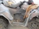 Thumbnail '9' of Suzuki Eiger 400 Thumbnail '9' of Suzuki Eiger 400