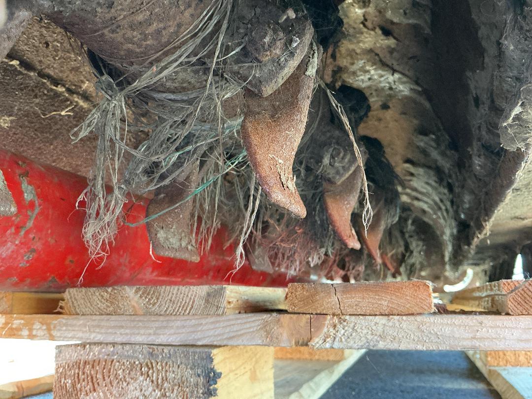 Photo '15' of Trimax Flaildeck FX 185 Mower Photo '15' of Trimax Flaildeck FX 185 Mower