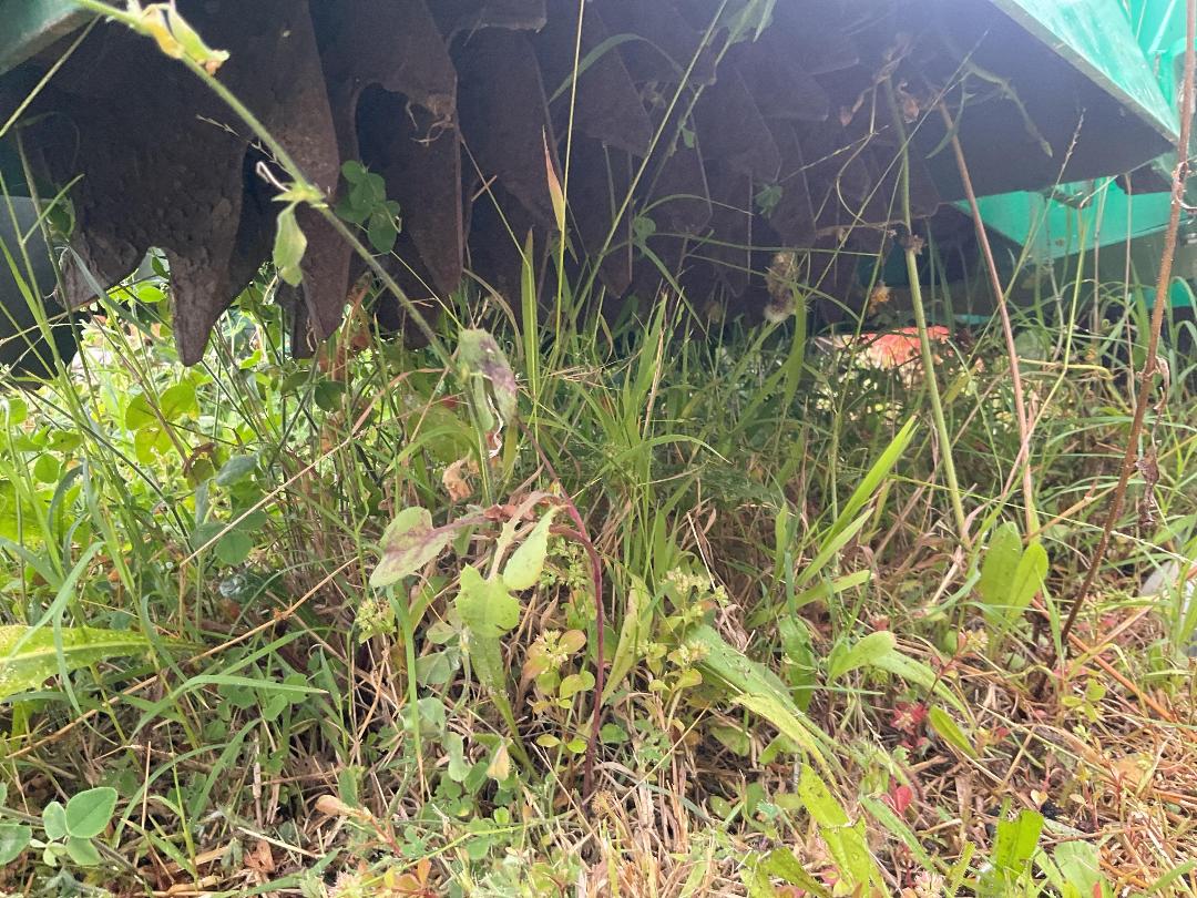 Photo '9' of TWO Graden Industries de-thatcher Other Machine