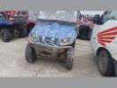 Thumbnail '1' of Yamaha Rhino Thumbnail '1' of Yamaha Rhino