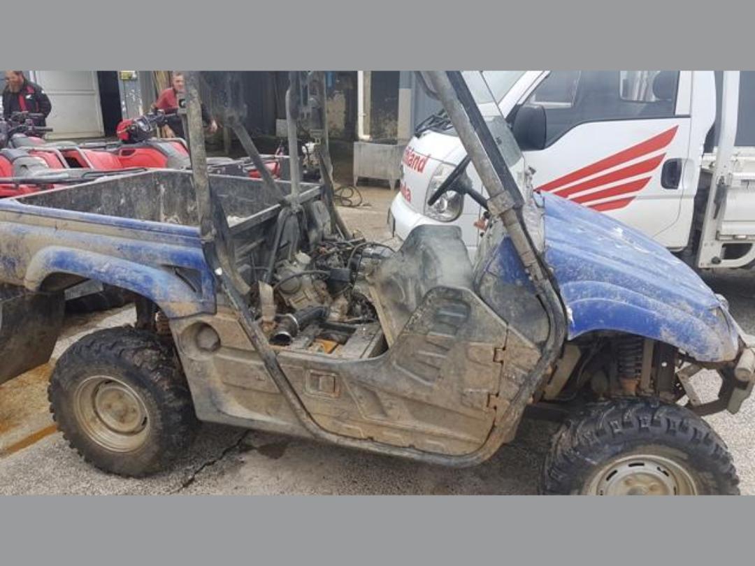Photo '2' of Yamaha Rhino Photo '2' of Yamaha Rhino